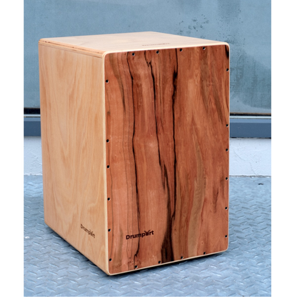 Plug 'n Play Cajon – Extended Version mit eingebautem Mikrofon
