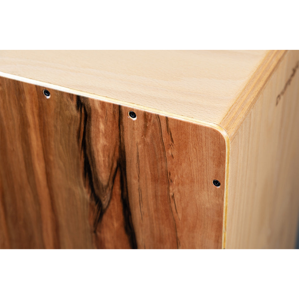 Drumport Plug 'n Play Cajon mit eingebautem Mikrofon, Tineo